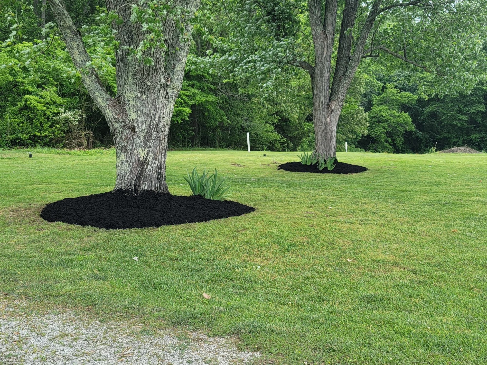 Mulching-Services-8.jpg
